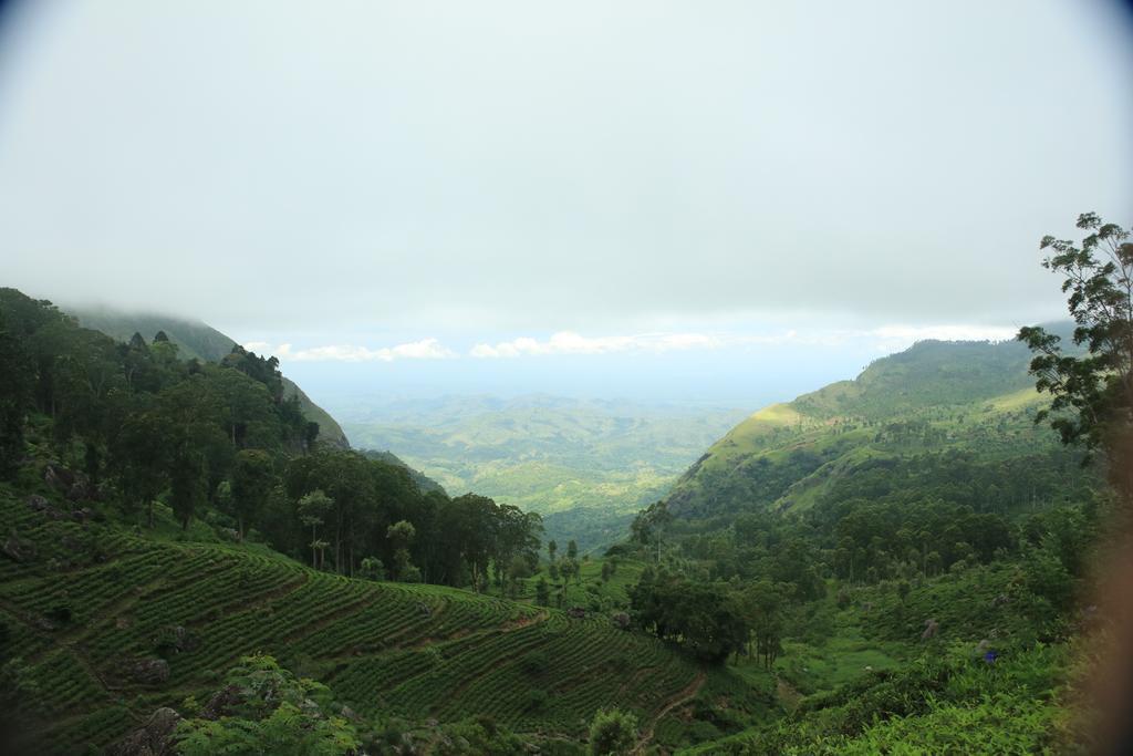Orient Hotel Bandarawela Exteriér fotografie