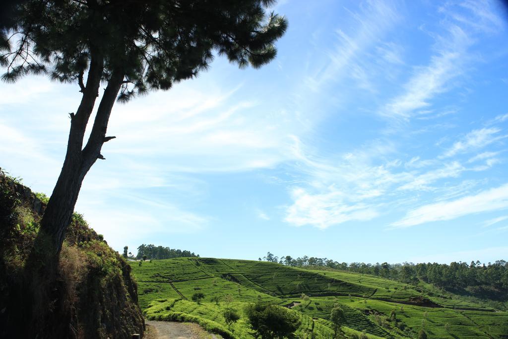 Orient Hotel Bandarawela Exteriér fotografie